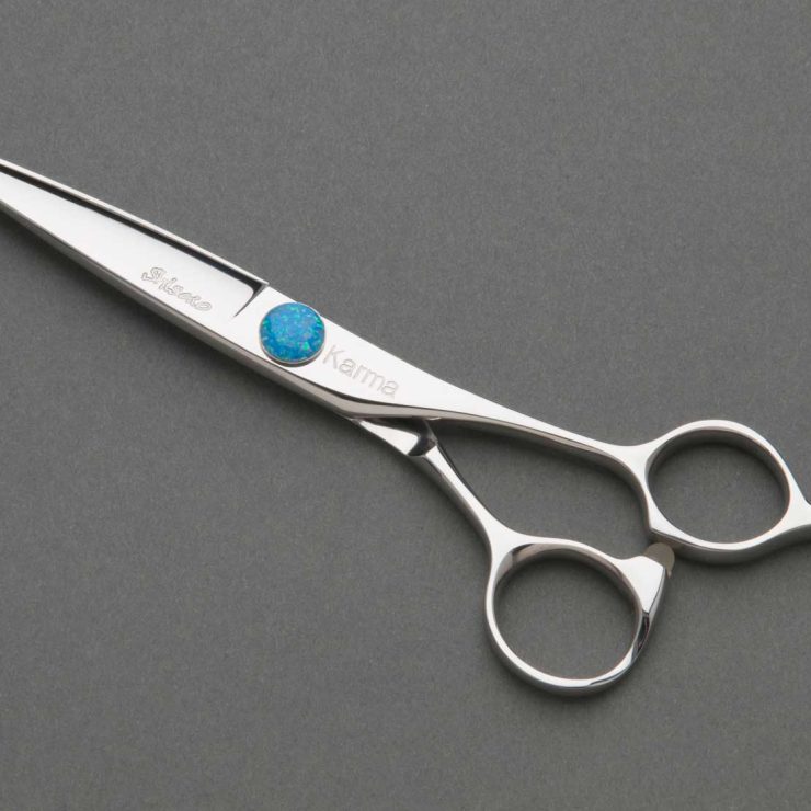 attachment-66f25a70d918e653b84ea0fa