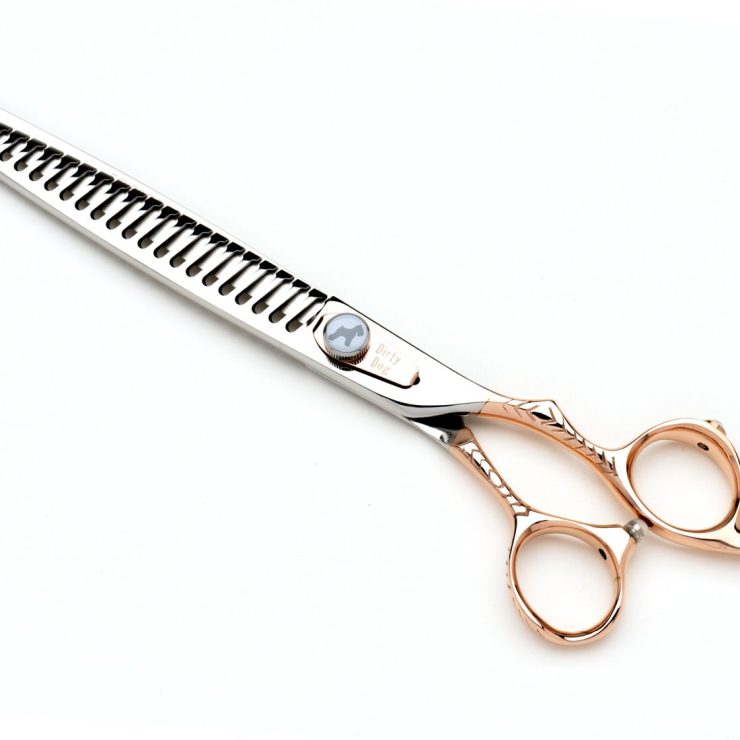 attachment-66b29fce37a2ce5208083a01