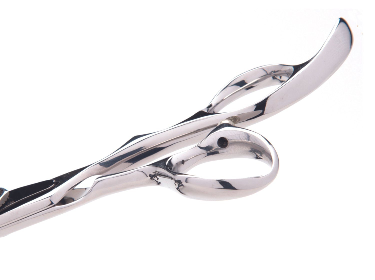 attachment-66b2a2eeef19ee1c526e4626