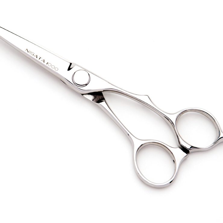 attachment-66b29620ce78cc61319427ed